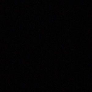 Meet your Posher, Donald